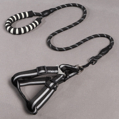 Dog Leash