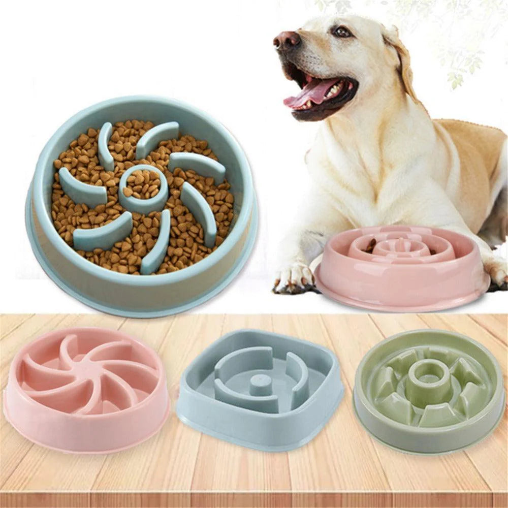 Choke-Free Slow Feeder Bowl for Dogs and Cats