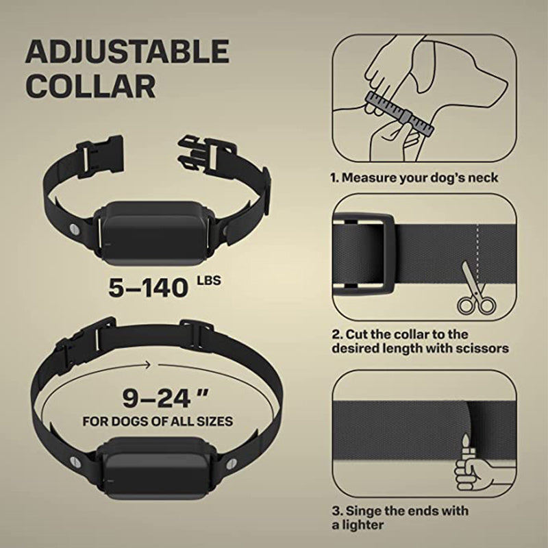 Electric Dog Collar