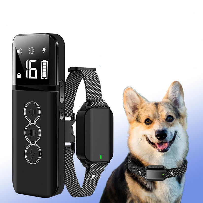 Electric Dog Collar