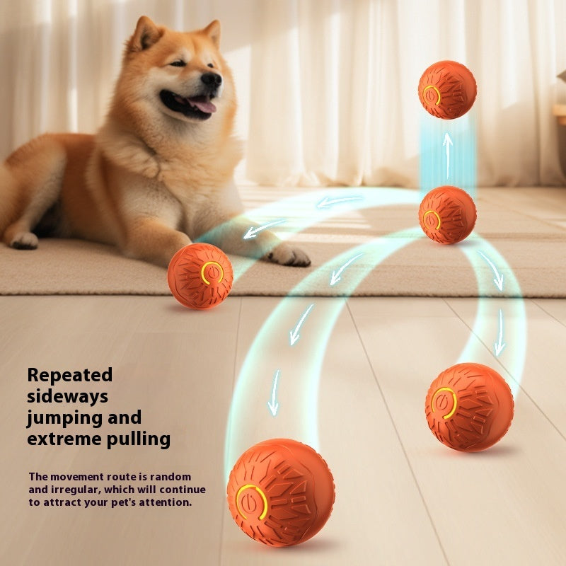 Pets Electric Jumping Ball