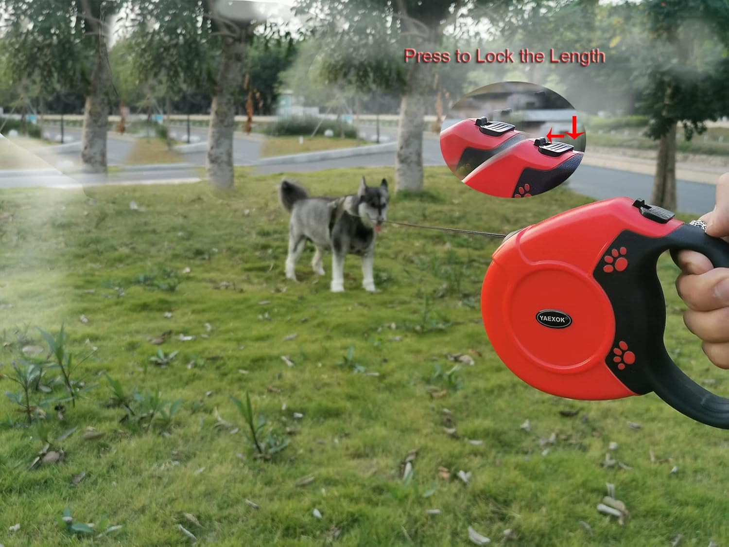 Heavy Duty Retractable Dog Leash 