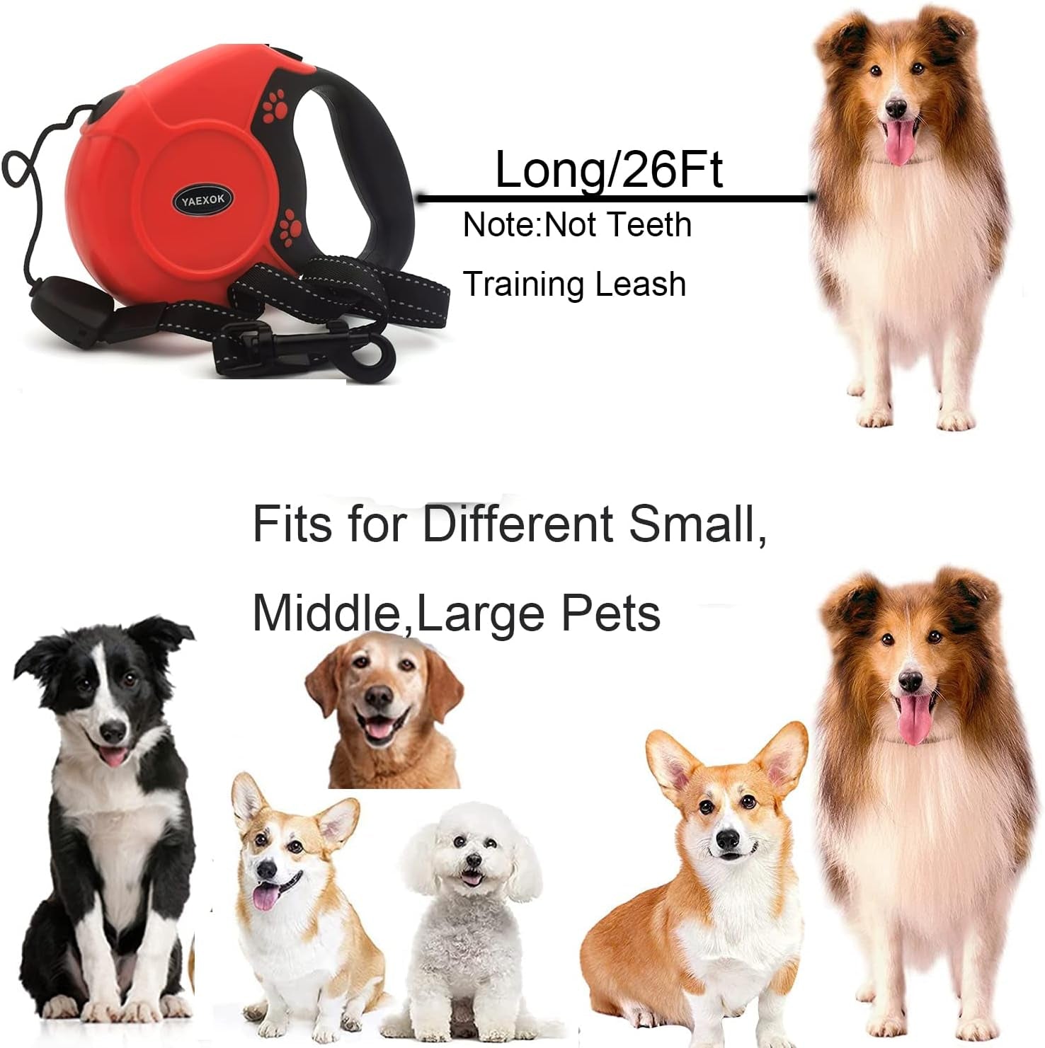 Heavy Duty Retractable Dog Leash 